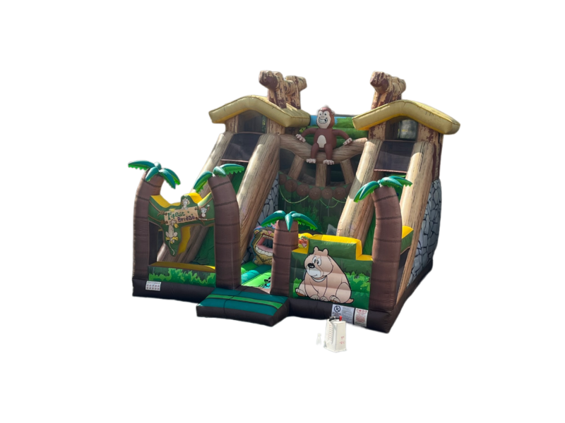 Location multiplay pont de singe à Lyon