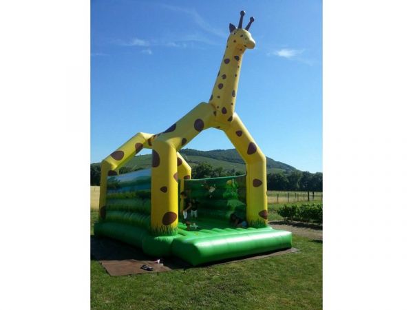 Location château gonflable girafe à lyon